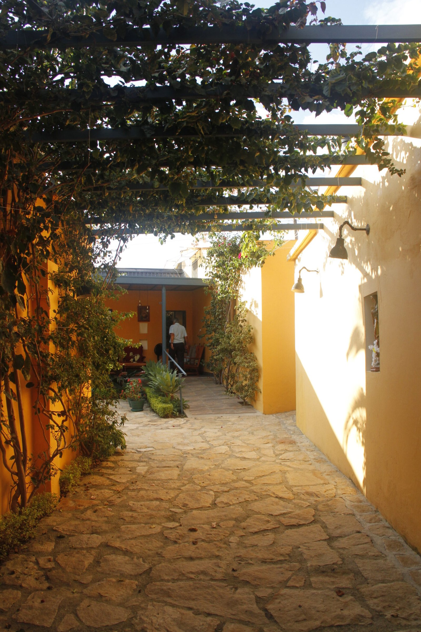 Sendero de piedra y vegetación en la Casa Fredy Páez